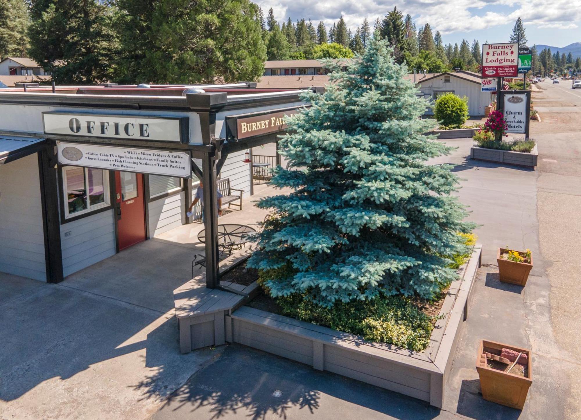 Charm Motel & Suites Burney Εξωτερικό φωτογραφία